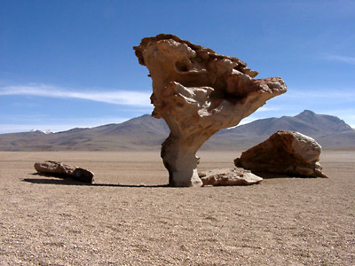 02220050.jpg