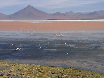 02220060.jpg