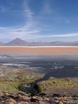 02220066.jpg