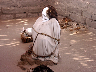 02010042.jpg