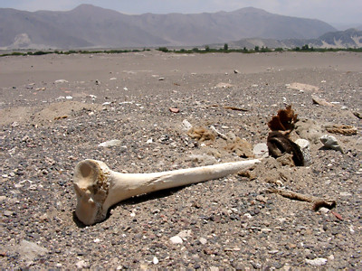 02010045.jpg
